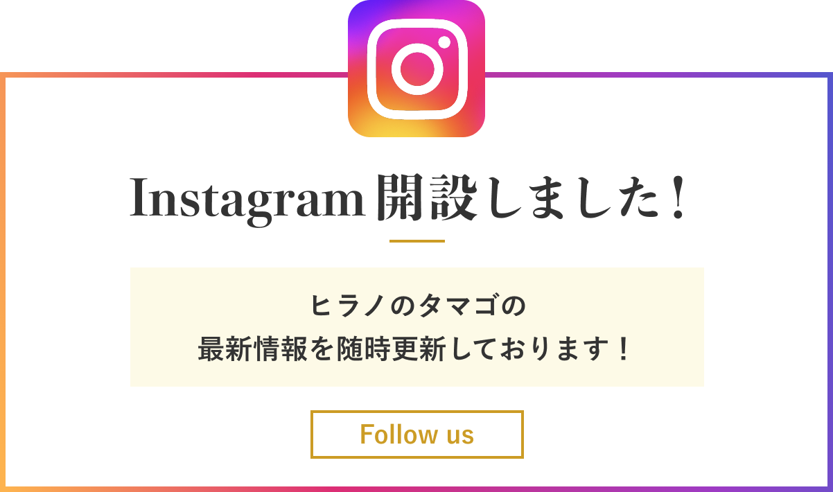 Instagram開設しました
