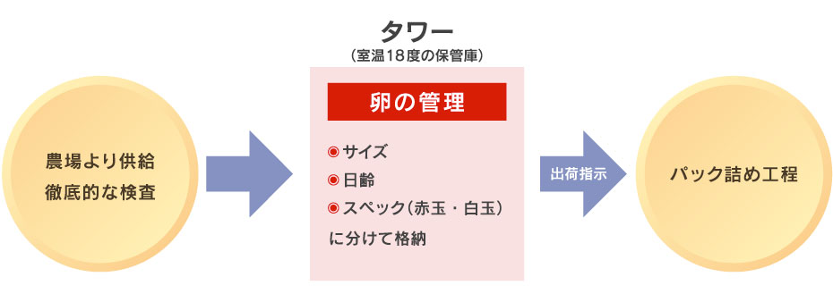 ヒラノの美味しい卵の基盤となる分類保管システムについて