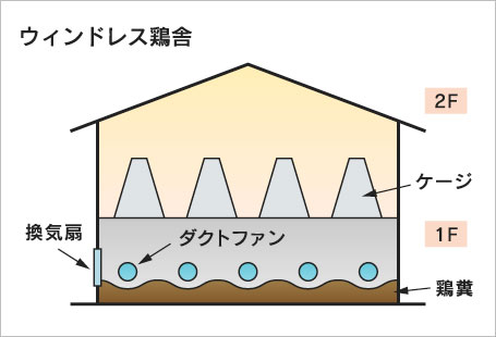 ウィンドレス鶏舎